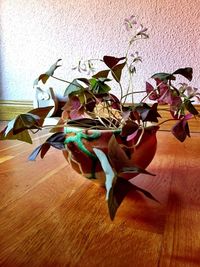 Close-up of birds on table