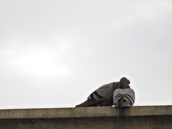 Low angle view of statue against clear sky