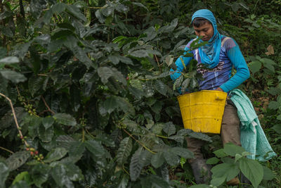 Portrait of young woman standing against green leaves