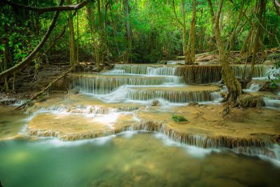 Scenic view of waterfall in forest