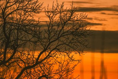 Silhouette bare tree by lake against romantic sky