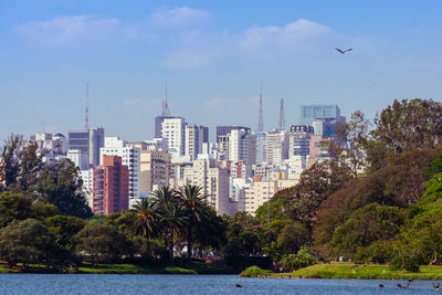 Trees and buildings against sky