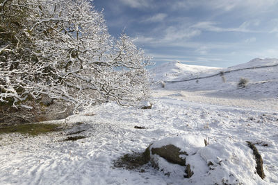 Snow scene in scotland