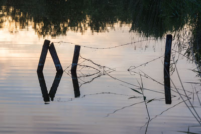 Reflection of trees in lake