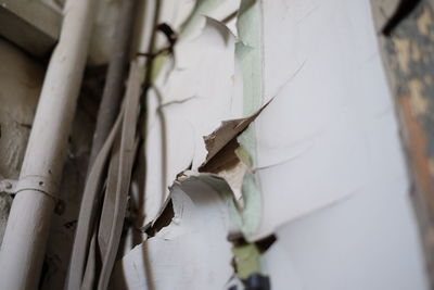 Low angle view of paint peeling off from wall