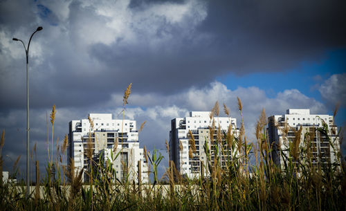 A construction site seen from a nature rrserve