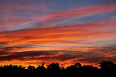 Low angle view of silhouette trees against orange sky