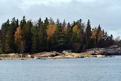 Scenic view of lake by trees against sky