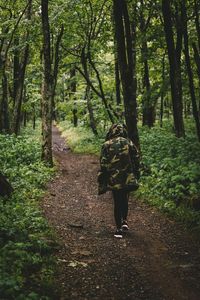 Rear view of woman walking in forest