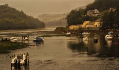 Boats moored at harbor