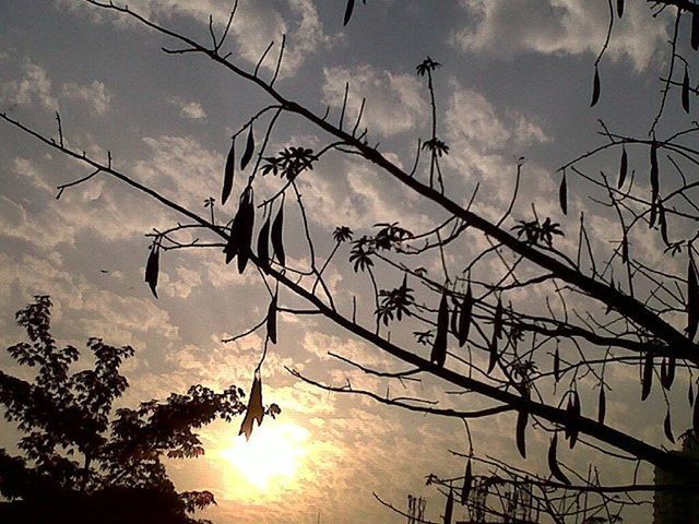 sun, sunset, sky, cloud - sky, silhouette, low angle view, cloudy, sunlight, sunbeam, tranquility, beauty in nature, nature, cloud, scenics, tranquil scene, tree, orange color, lens flare, reflection, idyllic