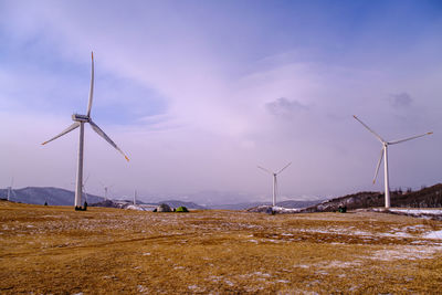 Windmills on field against sky