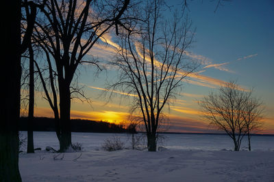 Bare trees on snow covered landscape