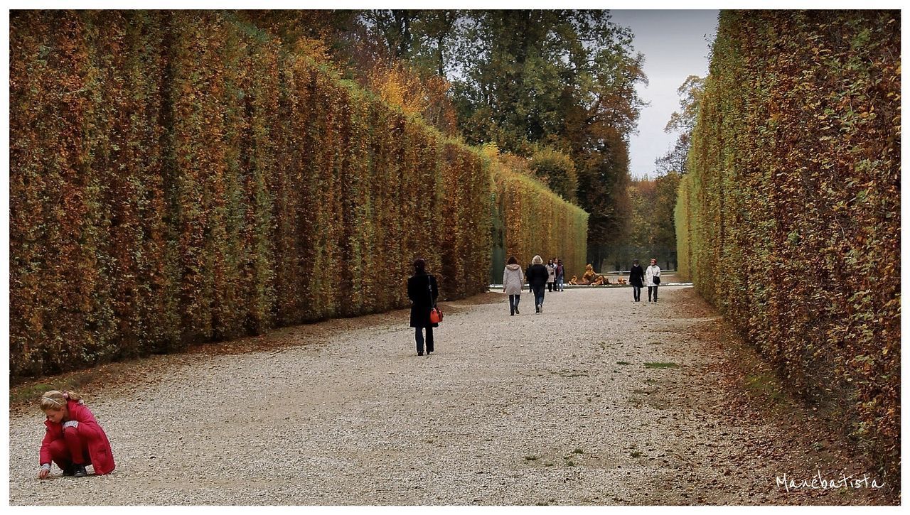 PEOPLE WALKING ON ROAD AMIDST AUTUMN TREES