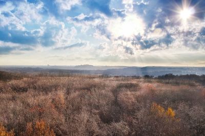 Scenic view of field against sky