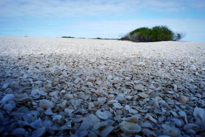 Scenic view of landscape