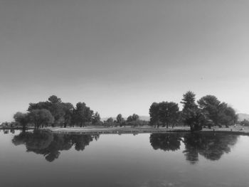 Reflection of trees in calm lake