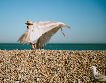 Seagulls flying over sea against clear sky