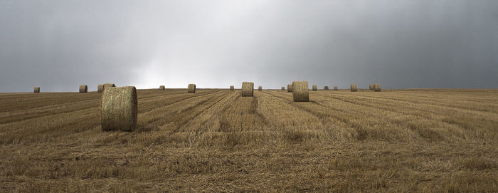 Panoramic shot of hay bales in field