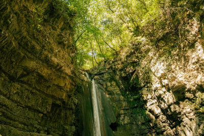 Scenic view of waterfall