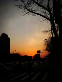 Silhouette of trees at sunset