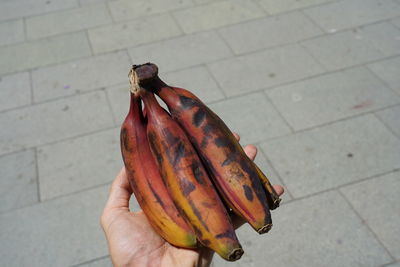 Close-up of person holding food