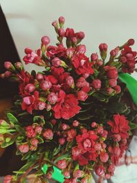 Close-up of bouquet