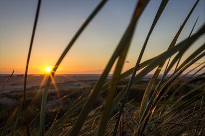 Scenic view of sunset over sea