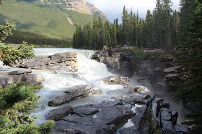 Scenic view of waterfall in forest