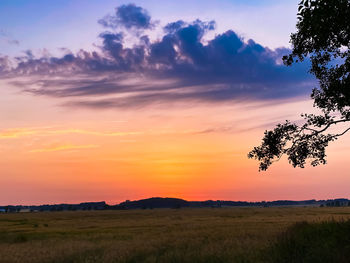 Scenic view of field against sky during sunset