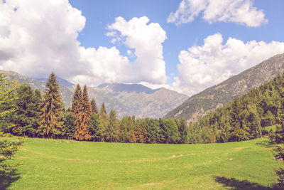 Scenic view of landscape against sky