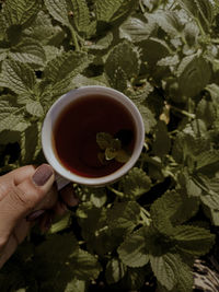 Midsection of person holding tea