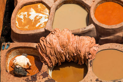 Close-up of animal skull in museum