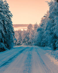 Road amidst trees against clear sky during winter