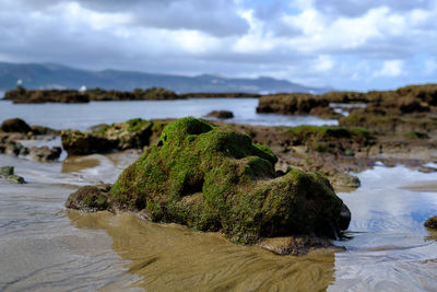 Moss covered rock at beach against cloudy sky