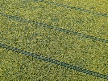 Full frame shot of agricultural field