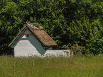 House amidst trees and plants on field