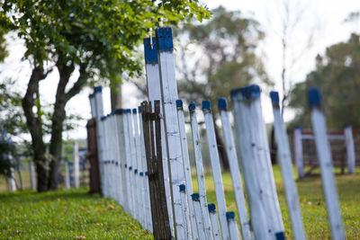 Fence by trees on field