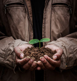 Midsection of man holding plant