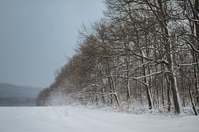 Bare trees on snow covered land against sky