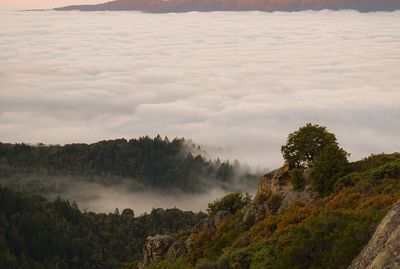 Idyllic shot of fog