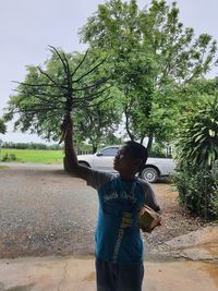 plant