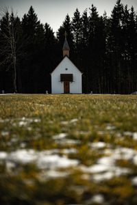 Landscape and church against trees