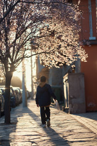 Boy walking in the street