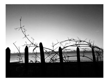 Silhouette plants against sea against clear sky