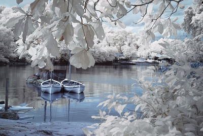 Scenic view of water in winter