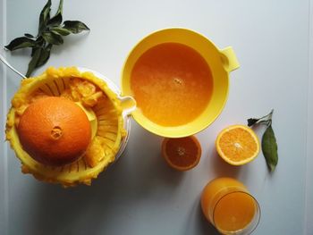 Close-up of orange fruits on table