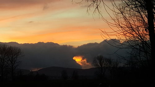 Silhouette bare tree against orange sky