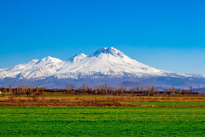 Scenic view of snowcapped mountains against blue sky