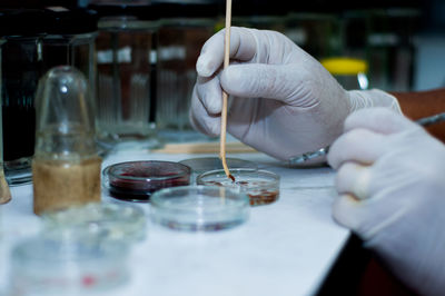 Cropped hand of scientist holding medical sample in container at laboratory